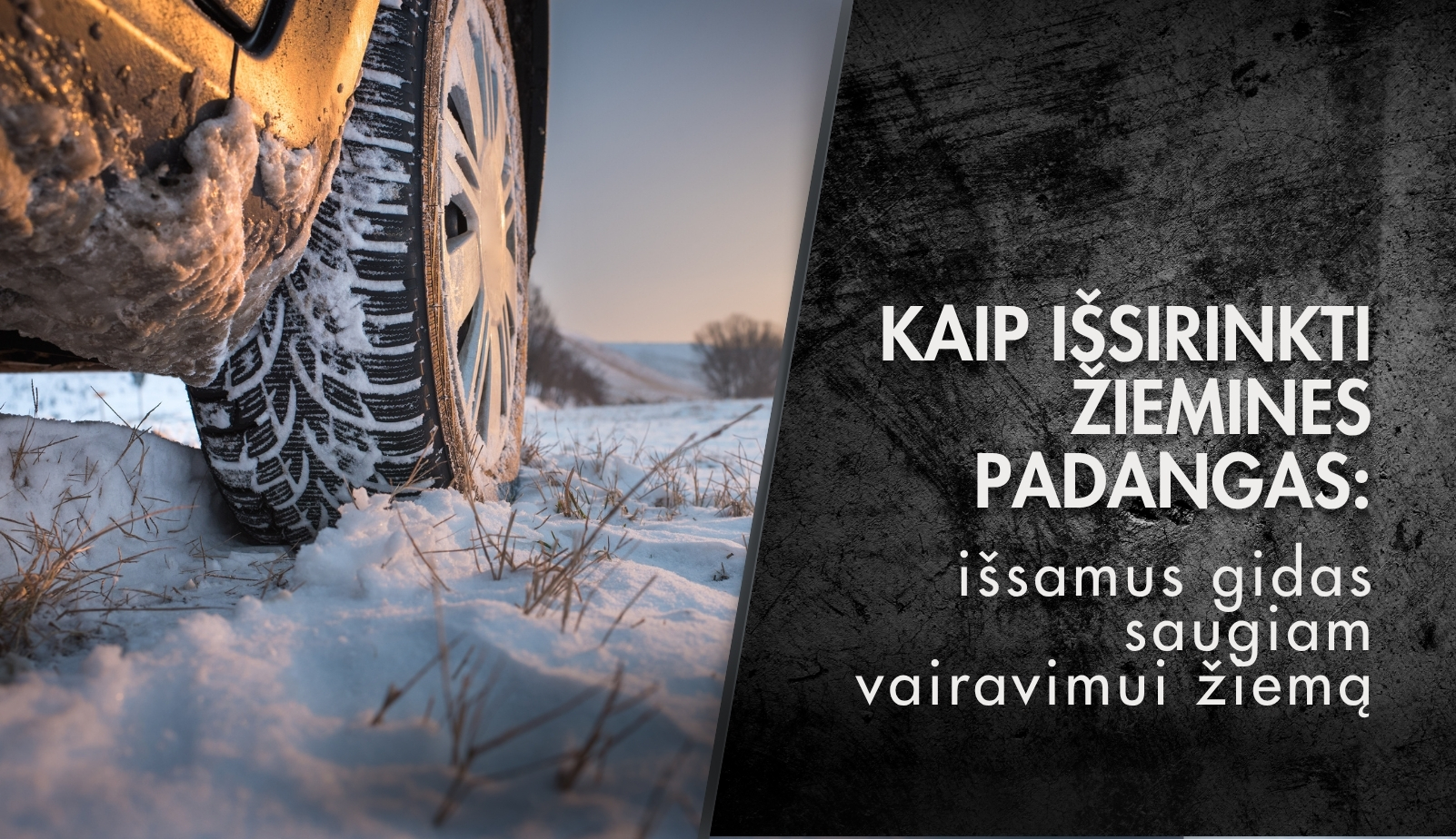 10 priežasčių, kodėl žieminės padangos yra būtinos: išsamus gidas saugiam vairavimui žiemą